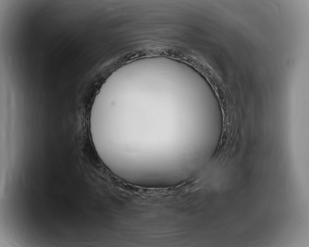 X0000099470773200805090813