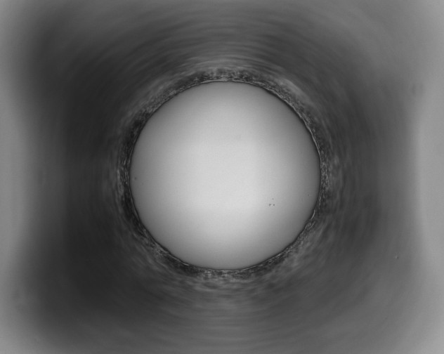 X0000099470774200805090812