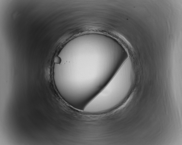 X0000099470777200805090812