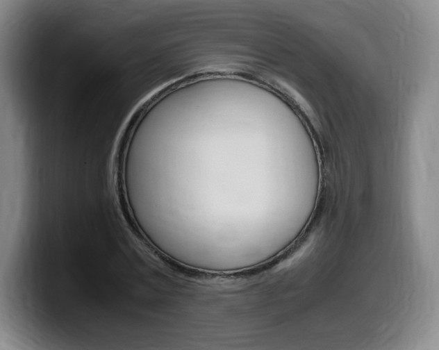 X0000099470779200805090812