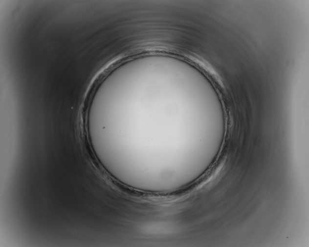 X0000099470782200805090812