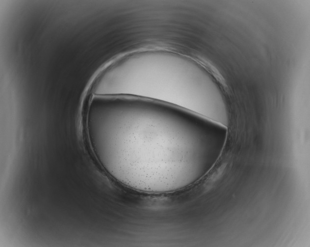 X0000099470784200805090812