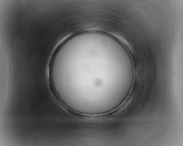 X0000099470790200805090812
