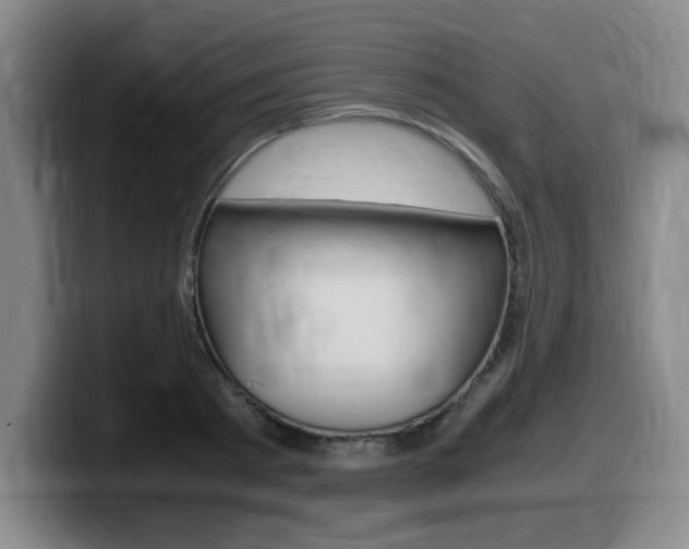 X0000099470793200805090812