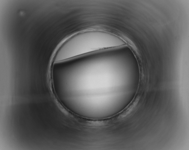 X0000099470800200805090812