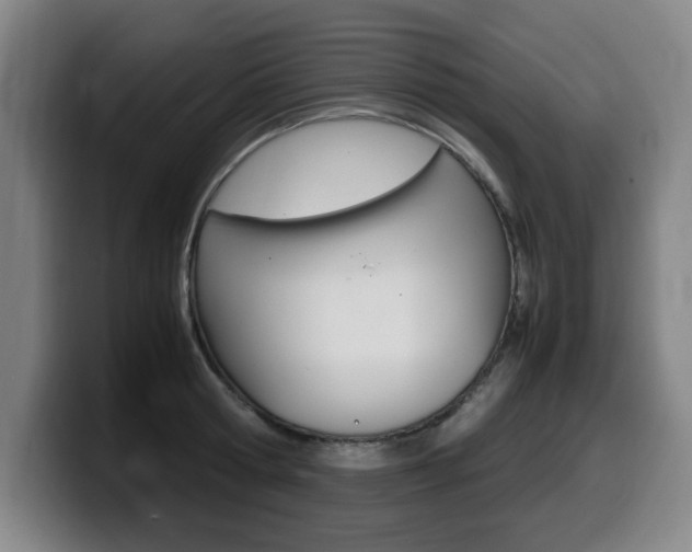X0000099470802200805090812