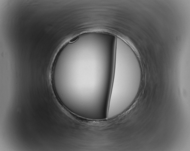 X0000099470805200805090812
