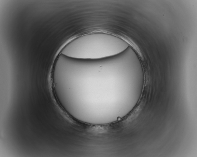 X0000099470806200805090812