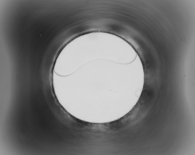 X0000099470807200805090812
