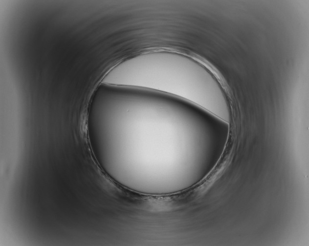 X0000099470809200805090812