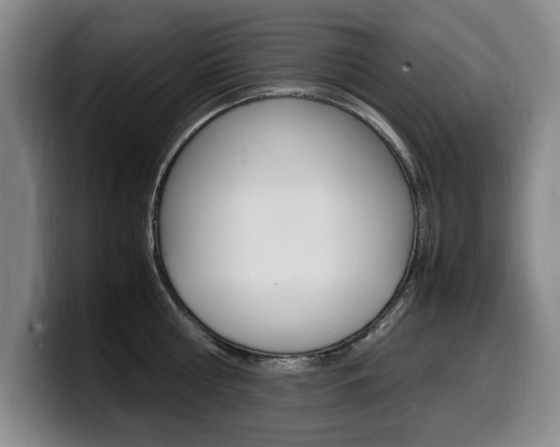 X0000099470810200805090812