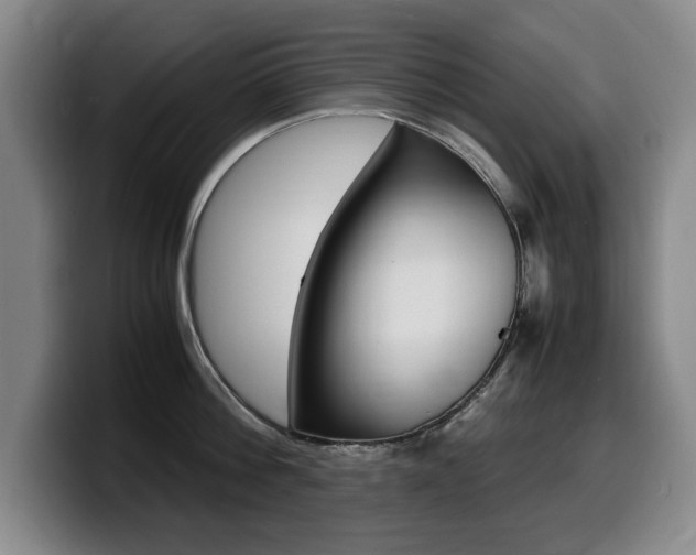 X0000099470812200805090812