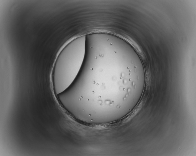 X0000099470814200805090812