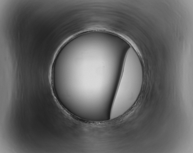 X0000099470815200805090812