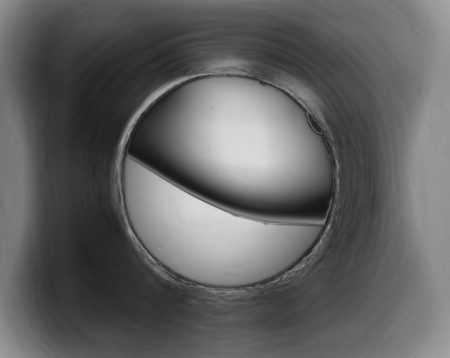 X0000099470816200805090812