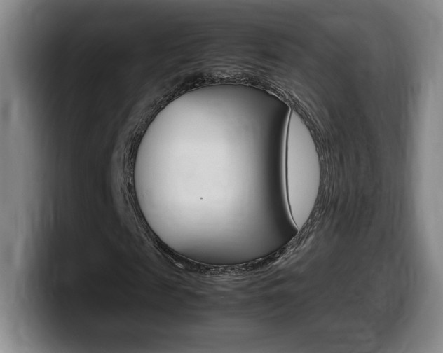 X0000099470817200805090811