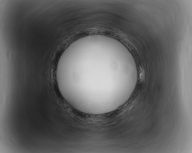 X0000099470819200805090811