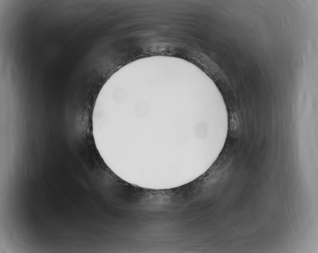 X0000099470820200805090811