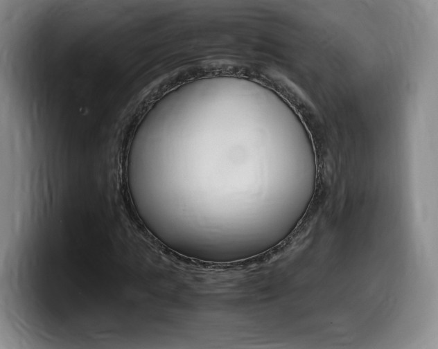 X0000099470821200805090811
