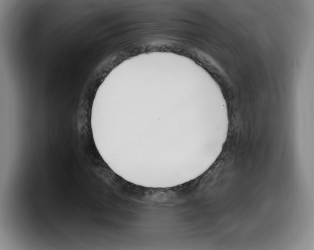 X0000099470824200805090811