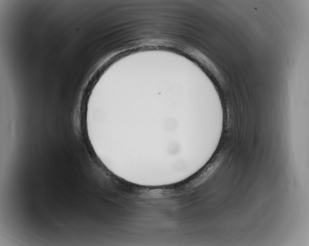 X0000099470828200805090811