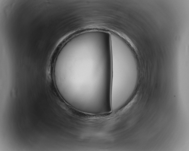 X0000099470830200805090811