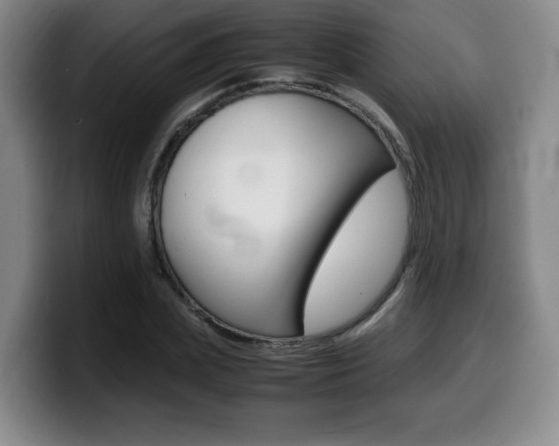 X0000099470831200805090812