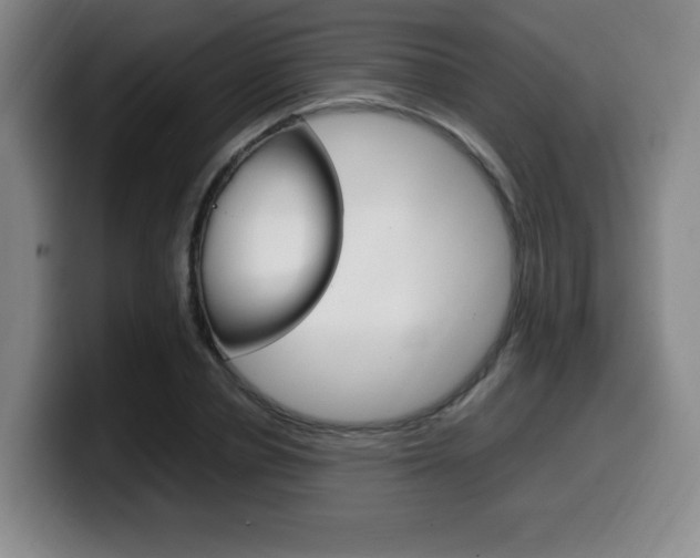 X0000099470834200805090812