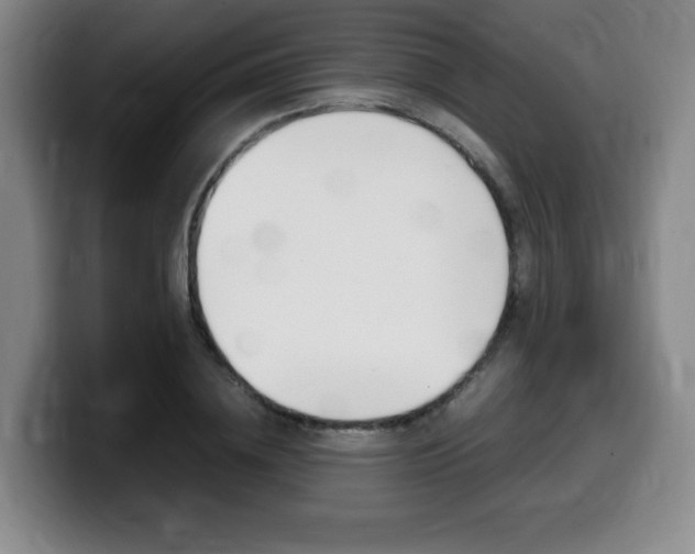X0000099470836200805090812