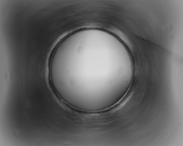 X0000099470837200805090812