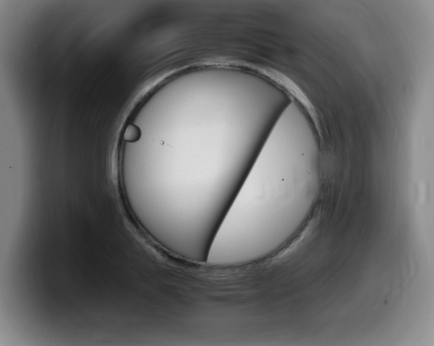 X0000099470839200805090812