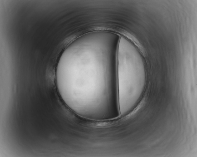 X0000099470841200805090812