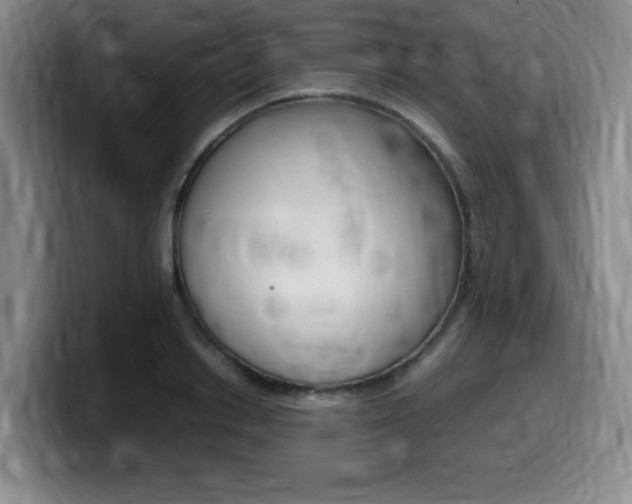 X0000099470842200805090812