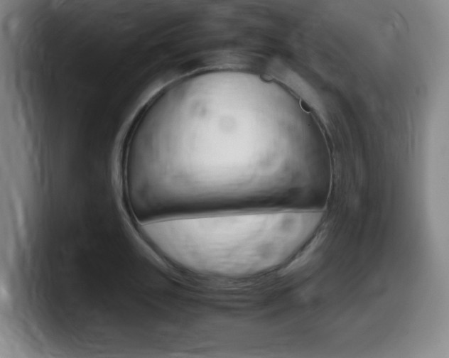 X0000099470843200805090812