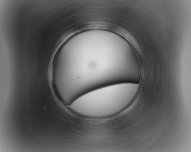 X0000099470844200805090812