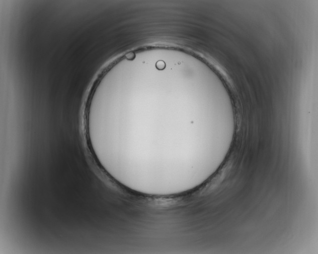 X0000099470848200805090812