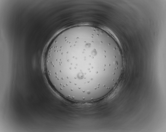 X0000099470851200805090812