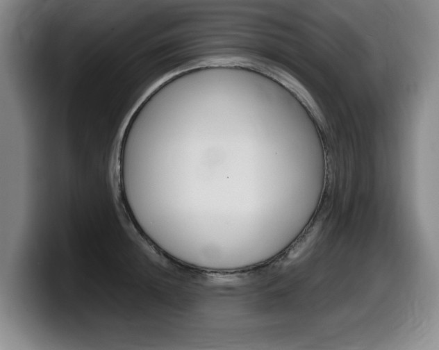 X0000099470852200805090812