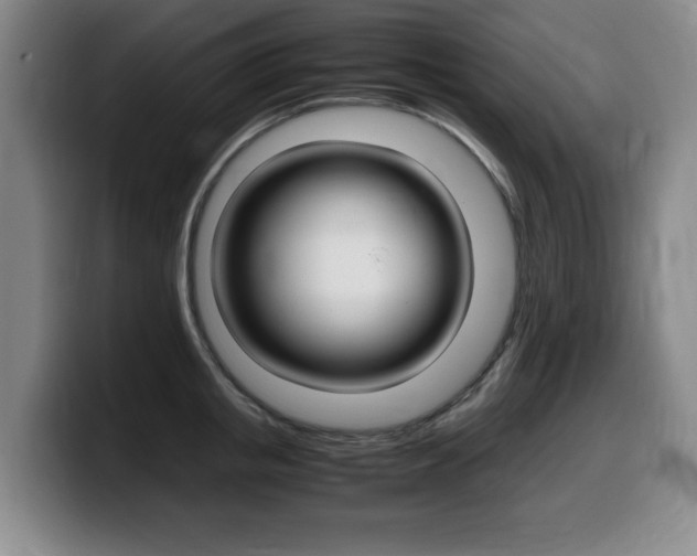 X0000099470853200805090812