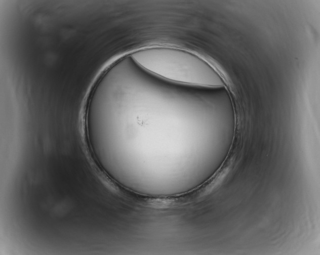 X0000099470854200805090812