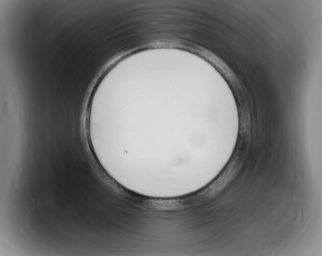 X0000099470856200805090812