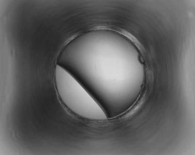 X0000099470857200805090812