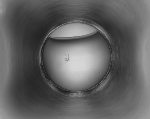 X0000099470858200805090812