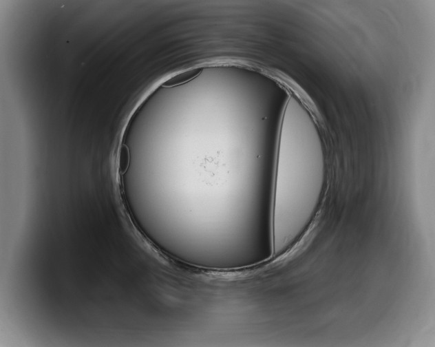 X0000099470860200805090812