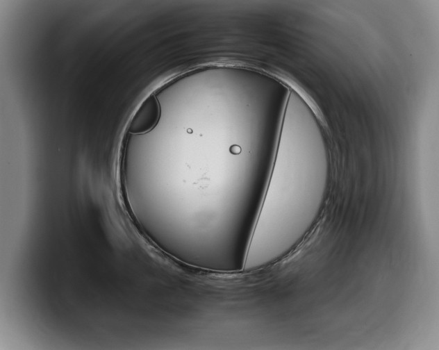 X0000099470861200805090812