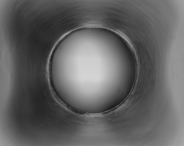 X0000099470864200805090812