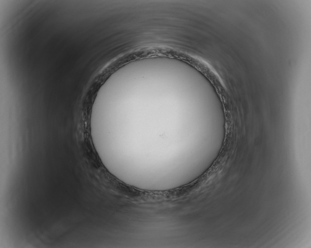 X0000099470871200805090811