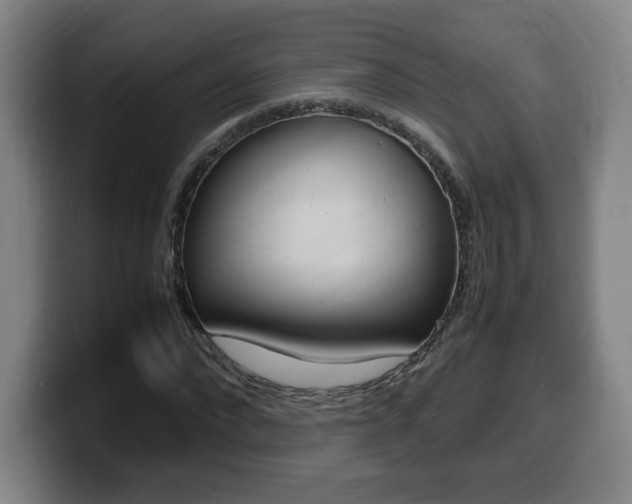X0000099470872200805090811