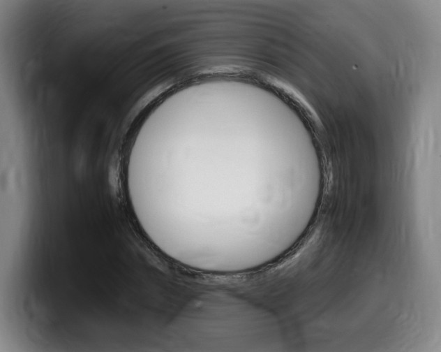 X0000099470874200805090811