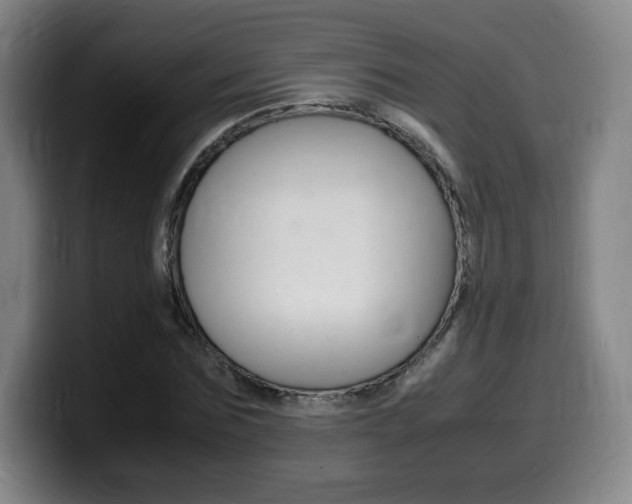 X0000099470875200805090811